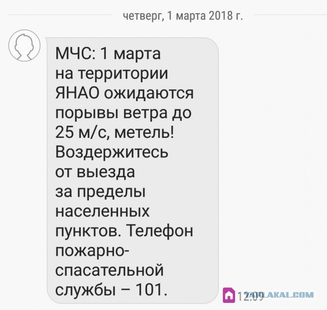 Вот и пришла весна!