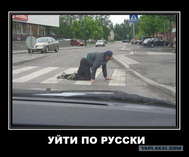 Подборка картинок