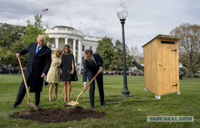 Сажающие дерево Трамп и Макрон превратились в мем