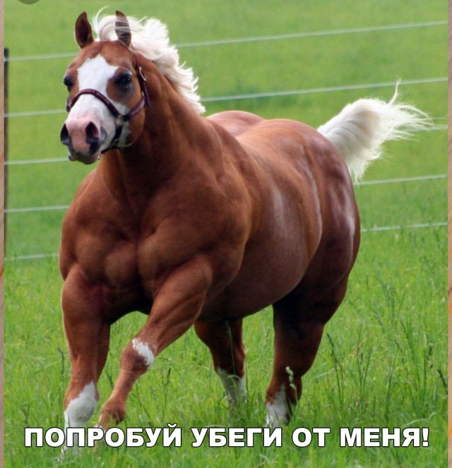 Прикольные картинки абавсём