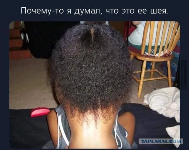 Разные картинки из интернета