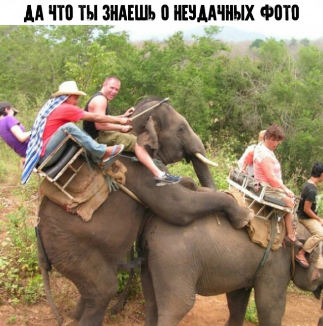 Нестандартный юмор