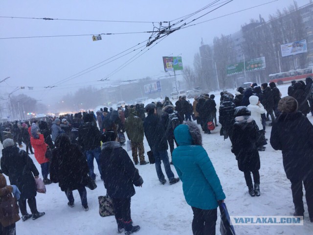 Саратовцы начали массово подписывать петицию за введение в городе режима ЧС