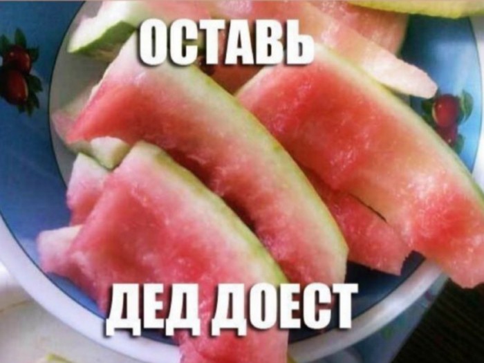 Применим физику в постели или белка и стрелка. Картинки