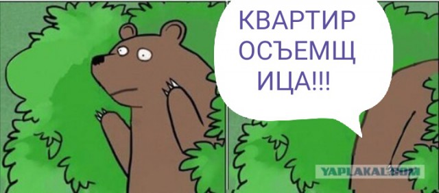 Съездил, блин, за дынькой!