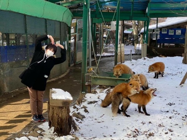 Юмор на любителя