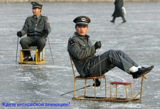 Битва фотожаберов (Команда №2)