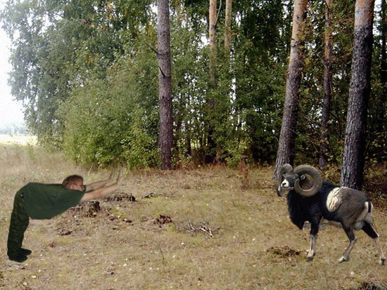 Зарядка
