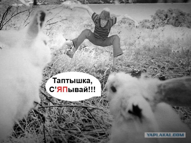 Летун как Славик