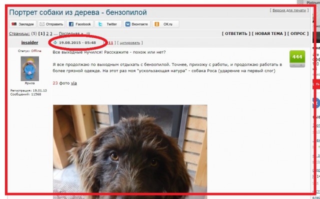 SASHAAIST: «Ищу человека», или как я съел собаку