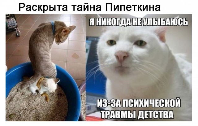 Картинки и мемы для настроения 005
