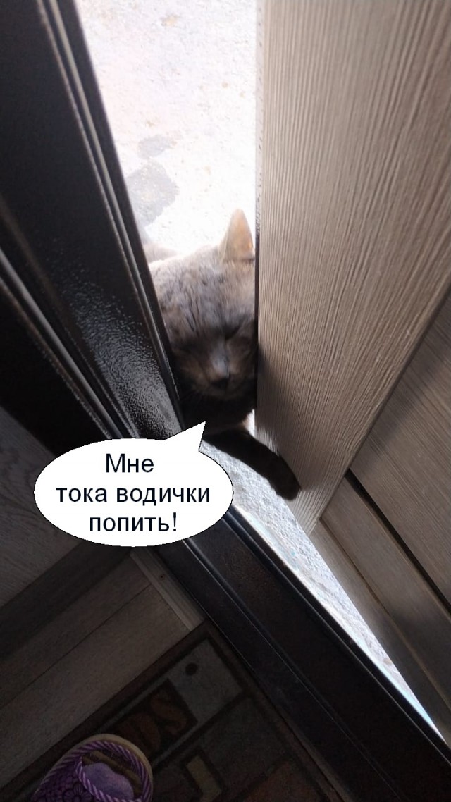 Женское насилие в семье