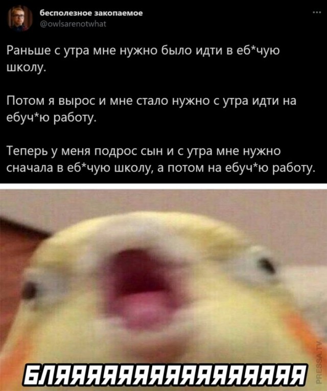 Картинки и мемы для настроения 15.03.2021