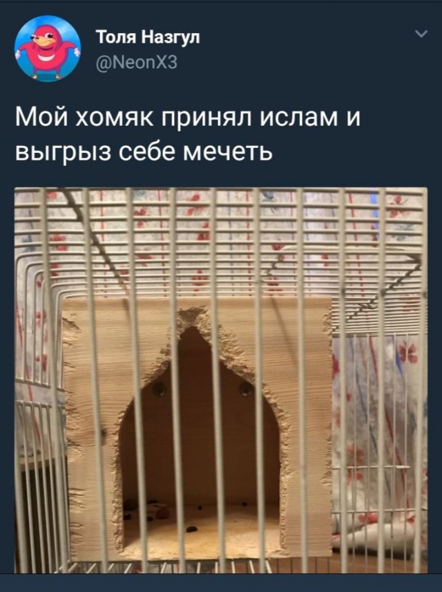 Картинки и мемы для настроения 018