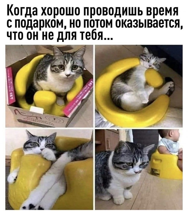 Зачем покупать какие-то дорогущие и хитромудрые игрушки коту?!
