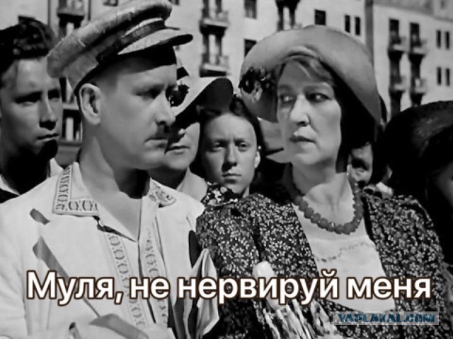 Хорошие цитаты из хороших фильмов.