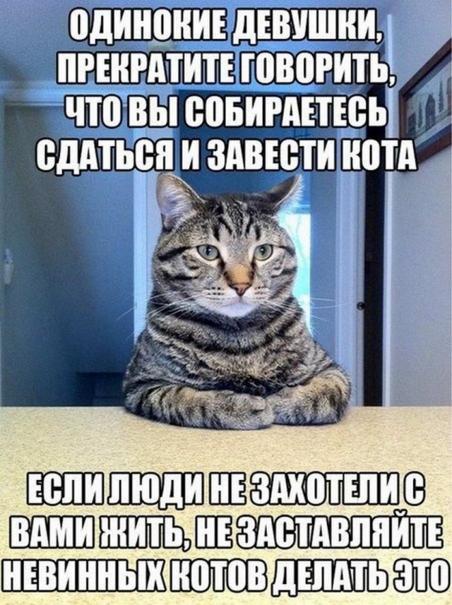 Картинки и мемы для настроения 20.10.2021