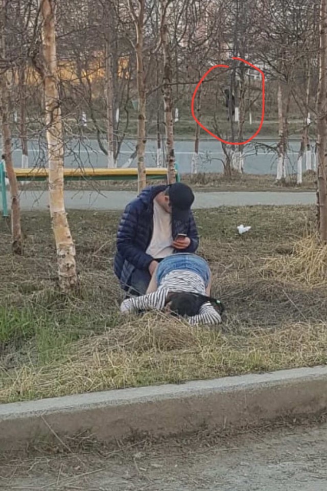 Скотсети и прочие интернеты 22.10.2021