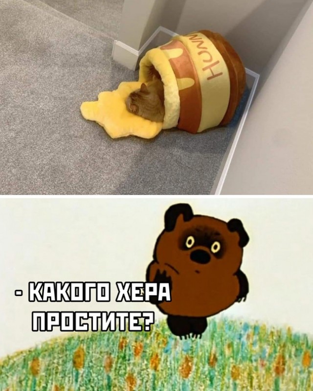 Картинки и мемы для настроения