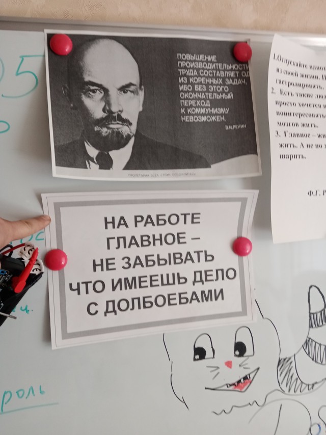 Настенная жизнь обычного завода