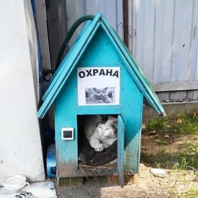 Картинки и мемы, всем отличных выходных