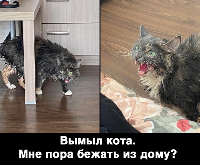 Немного картинок и прочей хреноты Vol. 9