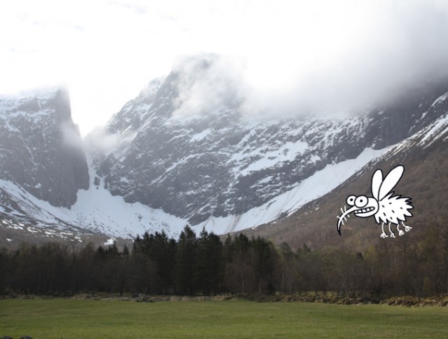 Норвегия глазами Ёлкина