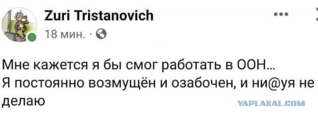Немного картинок для настроения - 114