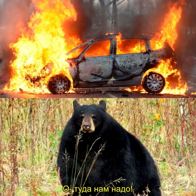 Картинки и мемы. Выходные близко...