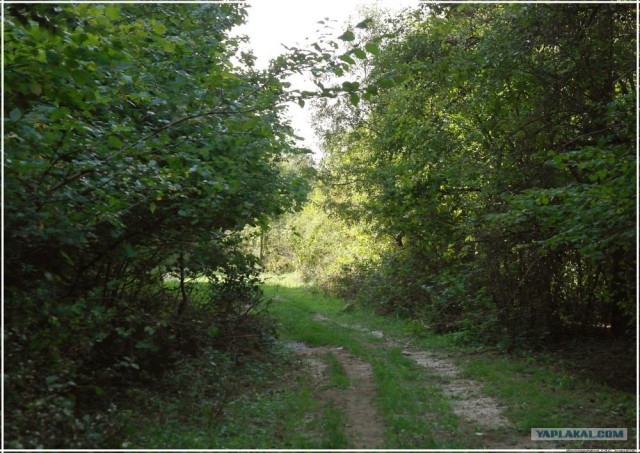 Крым. Новоульяновка. Водохранилище.