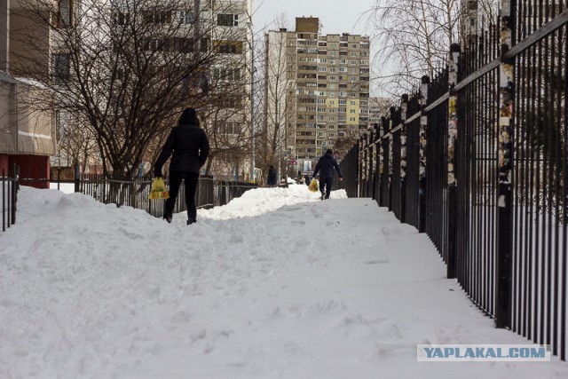 23 марта. Киев. Весна.