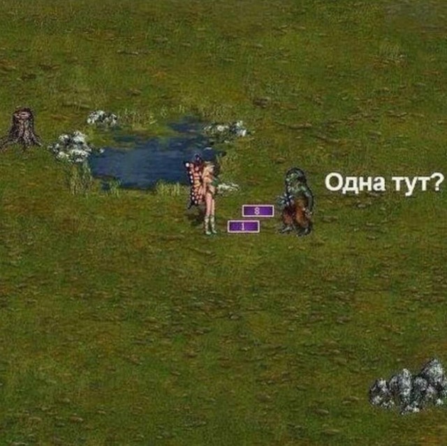 Народная меДИЧина 7016
