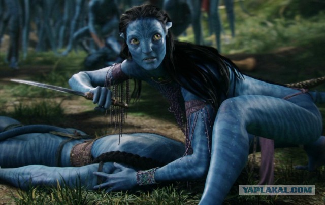 "Жена нарядила кошку"