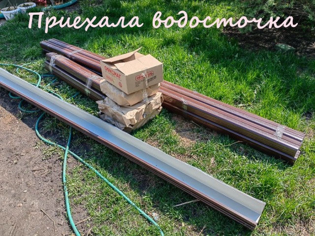 Жизнь домашнего приюта "Котоленд" 386