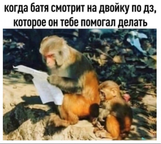 Задачи для детей, которые не могут решить двое взрослых: