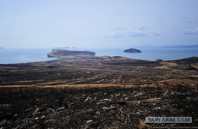 Морпехи ТОФ «дали жару»
