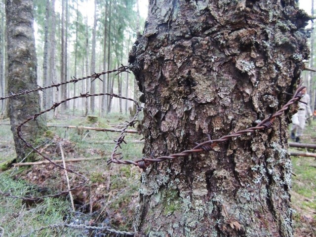 Перекур перед боем. Исходный рубеж 80 лет спустя