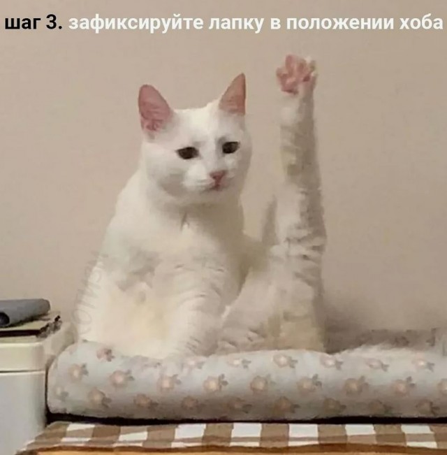 Выпускник Университета МВД в Ингушетии исполнил мечту многих — сдал преподавателей, у которых "покупал" экзамены