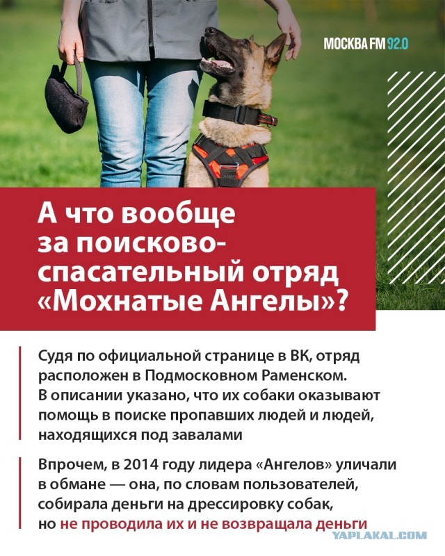 Побирушницы нажились на теракте в Крокусе