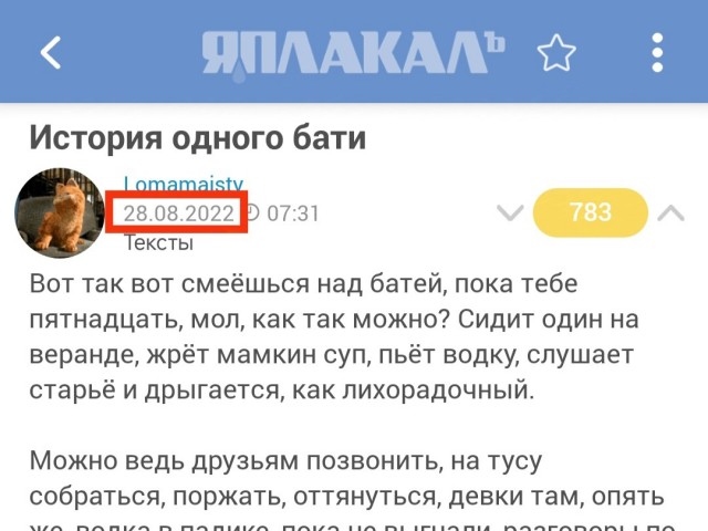 История одного бати⁠⁠