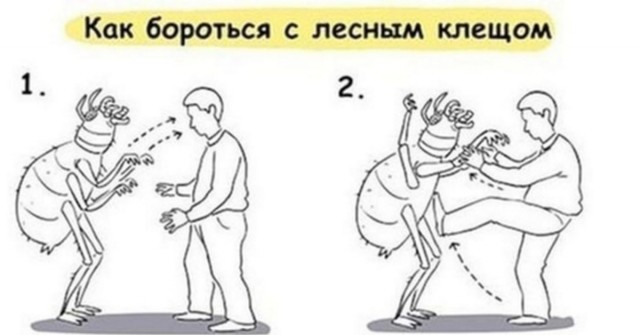 Нужна помощь всесильного ЯПа. Батя принёс из больницы постельных клопов