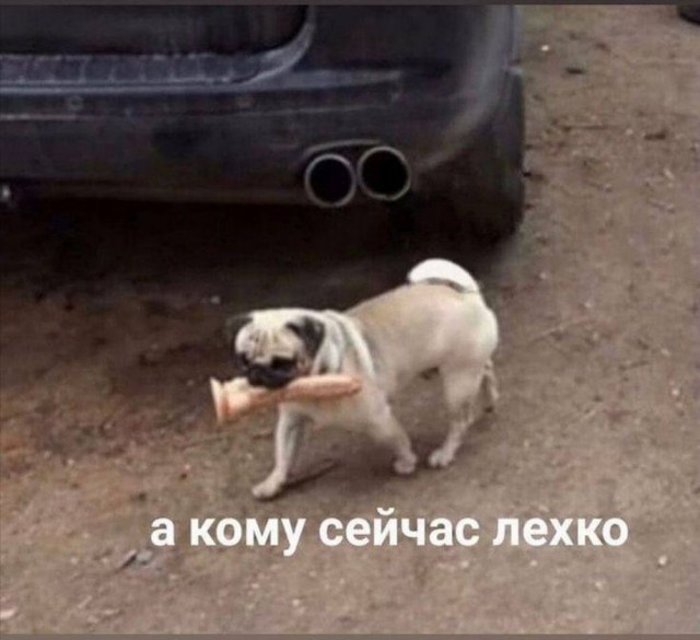 Картинки разные с надписями и без