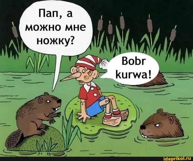 Поляк встретил крота. Получилось как обычно