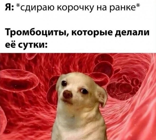 Так себе картинки 13.05.25