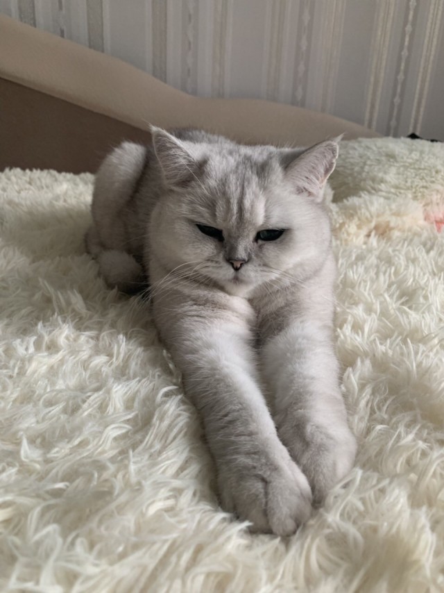 Очень хочется.