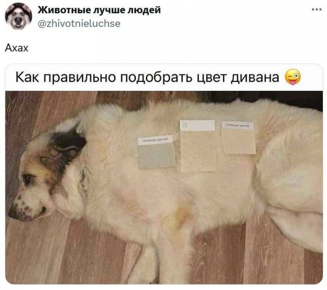 Так себе картинки 06.07.25