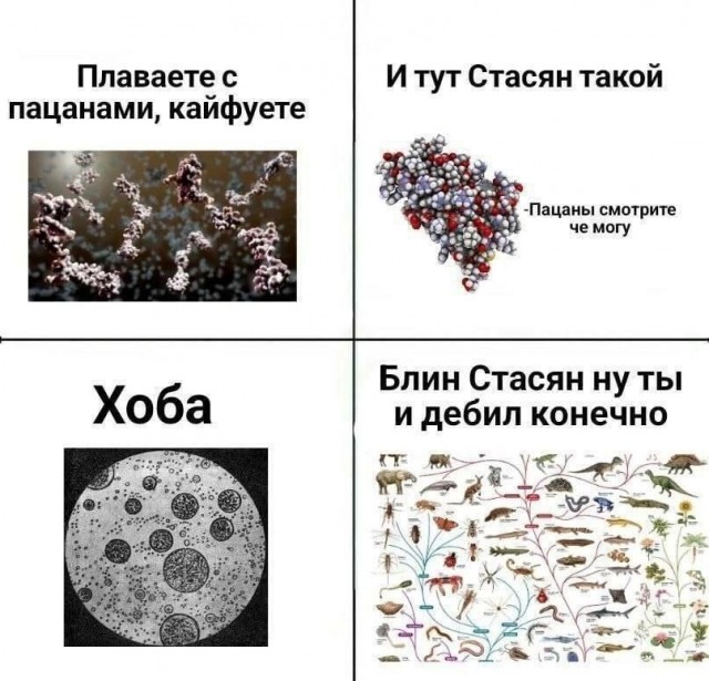 Веселое настроение в картинках 18.10.25