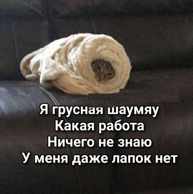 Дегрономикон депрессивный