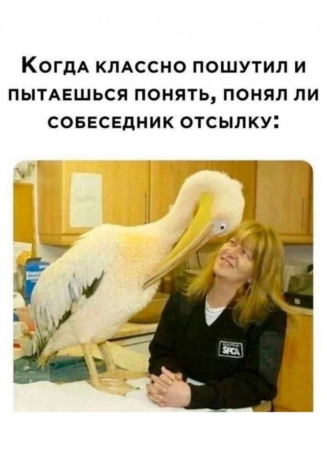 Картиночки, баянчики 20 января