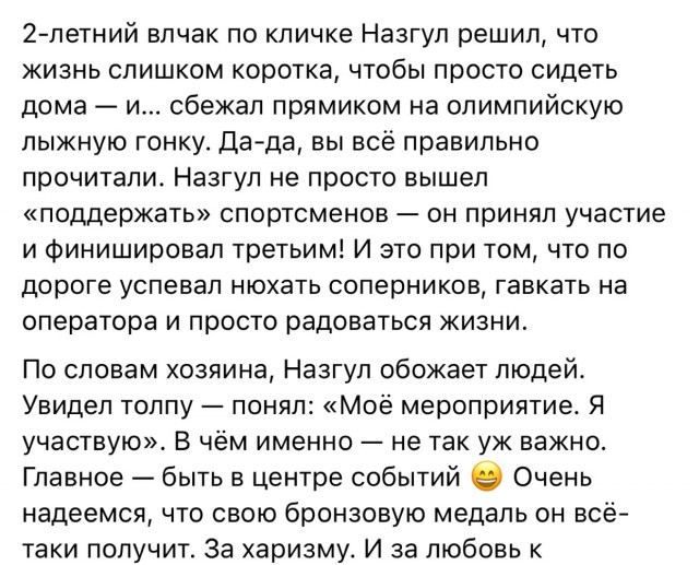 И винтовку не выдали...
